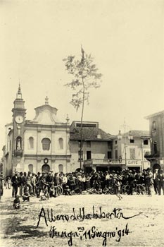 arbre de la liberté  à fusignano