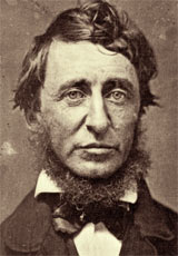 Henri-David Thoreau